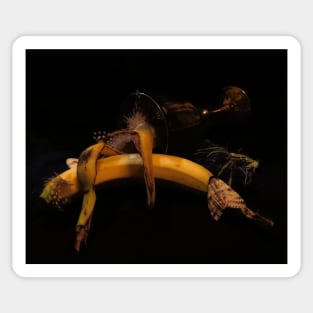 Banana, Thistle & Feathers 2 - Baroque Inspired Dark Still Life Photo Sticker